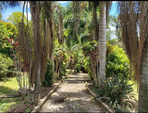Imagem 16 de 29 de Chácara Ibiuna 2.400 Mts Casa,pomar, Piscina, Oportunidade