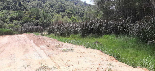 Imagem 8 de 14 de Terrenos Com Uma Linda Vista