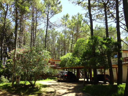 Imagen 13 de 13 de En El Bosque A 200m Del Mar, 300m Del Centro.