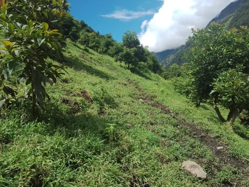Finca Via Juntas - Ibagué