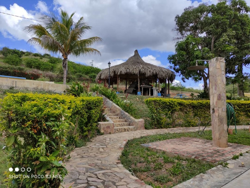 Imagen 6 de 28 de Venta De Hermosa Finca En El Estado Lara