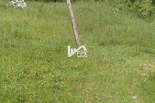 Imagem 4 de 4 de Terreno Lado Praia A 1200 Metros Do Mar Itanhaém - Ter058