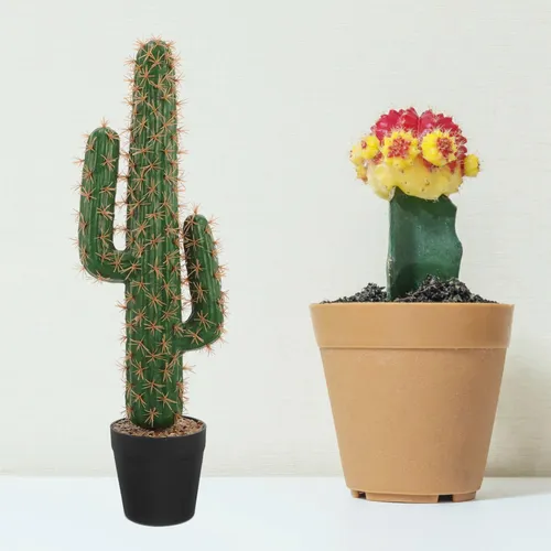 Cactus Artificial Cactus Falso Grande