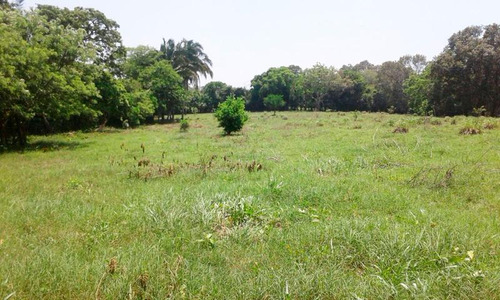 Venta Rancho 6 Hectáreas Hectáreas En Tuxpan Veracruz