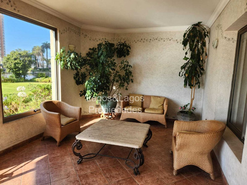 Arriendo Departamento Excelente Ubicación Viña Del Mar Plan!