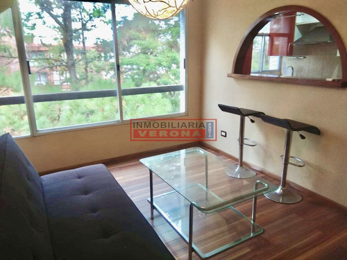 Imagen 2 de 14 de Apartamento En Venta - Zona Roosevelt