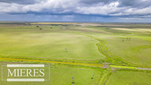 Campo En Rocha Ganadero Agrícola 125ha (ref: Atm-7988)
