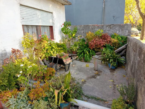 Casa Venta 2 Dormitorios 1 Baño 1 Patio 1 Galpon 220 Mts2 Totales - Berazategui