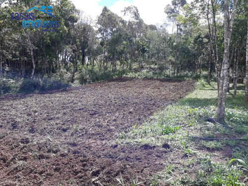 Vendo Lindo Terreno Santa Gema Rural Levemente Caído Para Rua - 770
