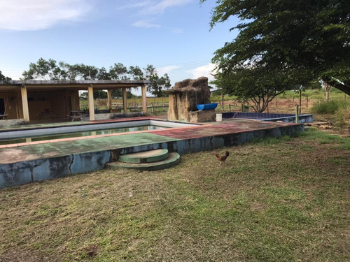Imagen 3 de 14 de Se Vende Finca En La Vía Al Sur