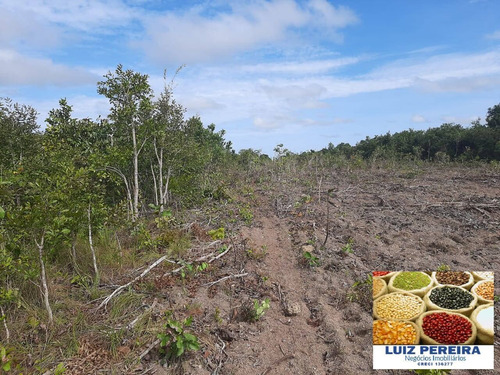 Imagem 12 de 15 de Fazenda À Venda No Vale Do Araguaia / Divinópolis - To - (dupla Aptidão) - 1705