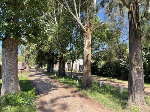 Imagen 6 de 9 de Venta Lote 600 M2 Fincas De Piovano - La Reja Sur