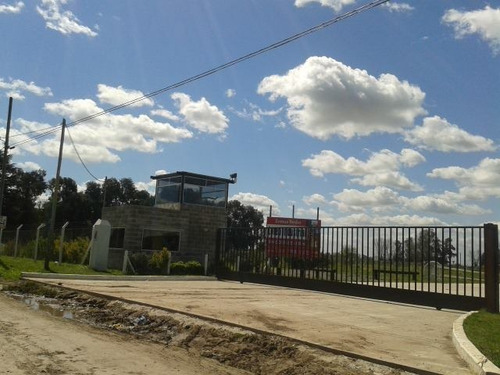 Imagen 2 de 12 de Moreno A Mts Autopista Terrenos Y Galpon En Venta
