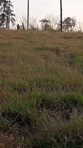 Imagem 13 de 14 de 16- Excelentes Lotes A Venda Na Linda Cidade De Guararema