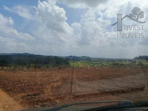 Imagem 8 de 11 de Cod 3943 - Área Com 40 Alqueires A 900 Metros Da Raposo Tava - 3943