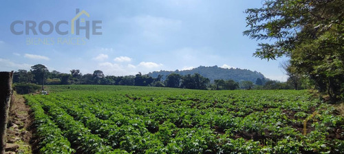 Terreno En Venta En Coatepec, En Zona Prolongación Altamirano