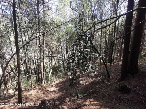 Imagen 8 de 13 de Qh4 Terreno Enorme Inmerso En La Naturaleza
