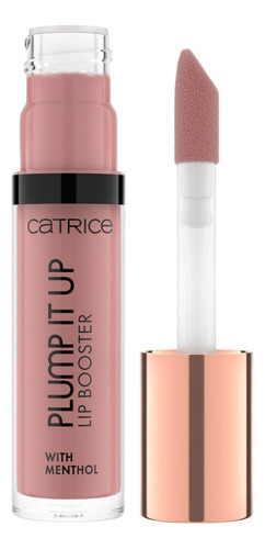 Lip Booster Labial Plump It Up Prove Me Wrong