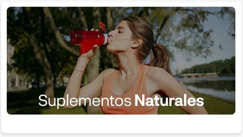 Nuestra trayectoria