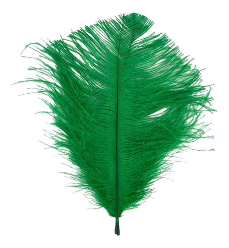 Pluma De Avestruz Confete 5 A 12 Cm Carnaval Artesanato 005 Cor verde bandeira