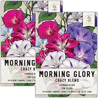 Paquete De 150 semillas, Morning Glory  Crazy Mezcla (incluy