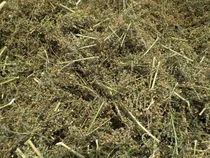 Comprar Artemisa Annua Seca Organica Paquete De 25 Gramos