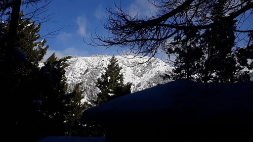 Imagen 20 de 21 de Alojamiento Bariloche Cabaña 5/6 Personas, En El Bosque Con Vista