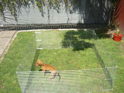 Corral Para Perros,conejos,gatos Grande Y Reforzado