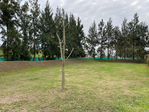 Terreno En Venta - 990mts2 - Las Acacias, Hudson