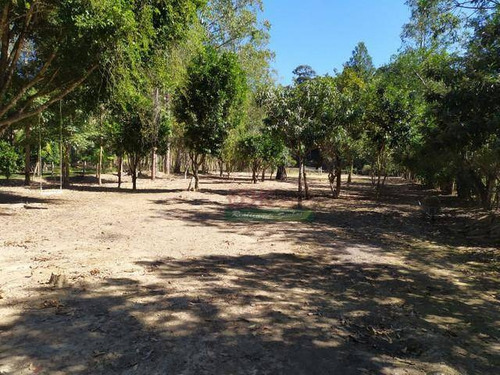 Imagem 2 de 18 de Chácara Com 3 Dormitórios À Venda, 5000 M² Por R$ 380.000,00 - Borda Do Campo - Cunha/sp - Ch0587