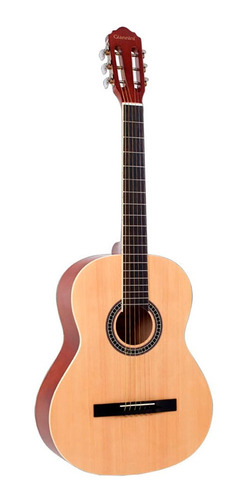      Violão Giannini Clássico Aço Gs-15 Natural