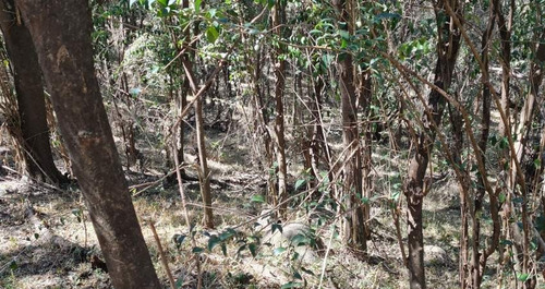 Imagen 13 de 13 de Venta Fracción 2 Has Unquillo-córdoba- A 1,5 Km De Av San Martín-sierras Chicas