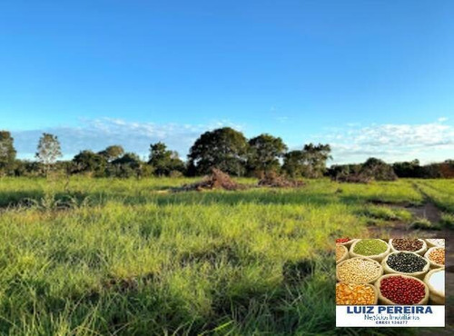 Imagem 2 de 15 de Fazenda A Venda No Formoso Do Araguaia-to-de 240 Alqueirões (dupla Aptidão) - 1669