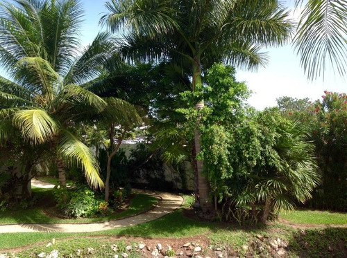 Imagen 8 de 30 de Impresionante Departamento De 4 Recámaras En Cancun Centro C2620