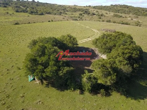 Imagen 7 de 15 de Venta De Chacra De 5 Hectareas En Paraje Las Cañas