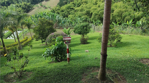 Imagen 27 de 28 de Finca De Alquiler Por Días Altagracia #2 Pereira