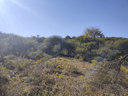 Imagen 6 de 14 de Líquido Lote En Bialet Massé