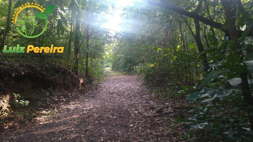 Imagem 7 de 15 de Fazenda À Venda Em Santa Tereza Do Tocantins-to-de 166 Alqueirões(pecuária) - 1692