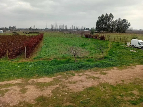 Venta De Parcela Con Casa, Piscina Y Producción Frutal Mol
