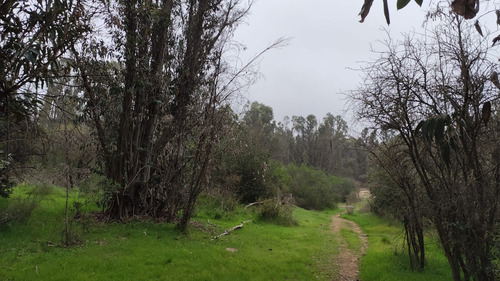 70 Hectáreas Cerca De Las Loicas, A Tan Solo 14 Km Del Lago