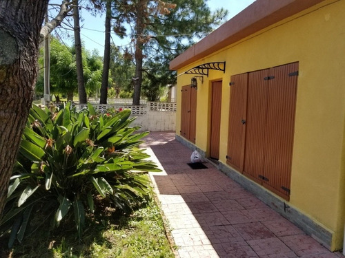 Imagen 5 de 19 de Alquiler Casa Cuchilla Alta . Disponible Segunda Quincena De Enero