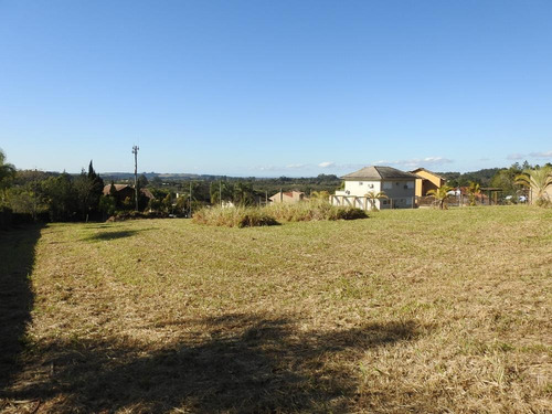 Imagem 12 de 30 de Terreno Gigante 1600 - 35519v