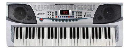Teclado musical Waldman KeyPro KEP-54 54 teclas 110V/240V