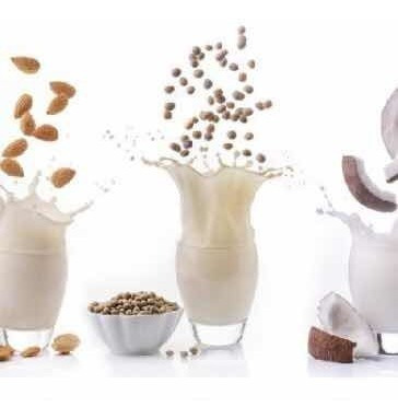 10 Filtros De Leche Yoghurt Quinoa Casero Vegano Vegetal