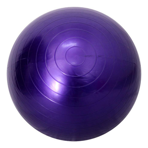 Wpd Pelota De Ejercicio Pelota De De Fitness Anti-explosión