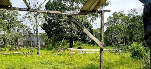 Imagem 8 de 11 de Chácara No Bairro Bopiranga, Em Itanhaém 8368dh