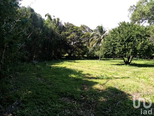 Venta Terreno 0 Ambiente Paso Del Toro