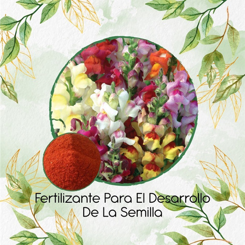 Fertilizante Para El Desarrollo De Flor Conejillo