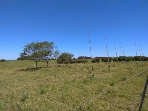 Chacra En Rincón De José Ignacio, La Zona Más Codiciada- Ref: 4237