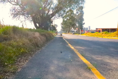 Terreno En Renta Entre Cuautla Y México Amecameca Varios Giros.